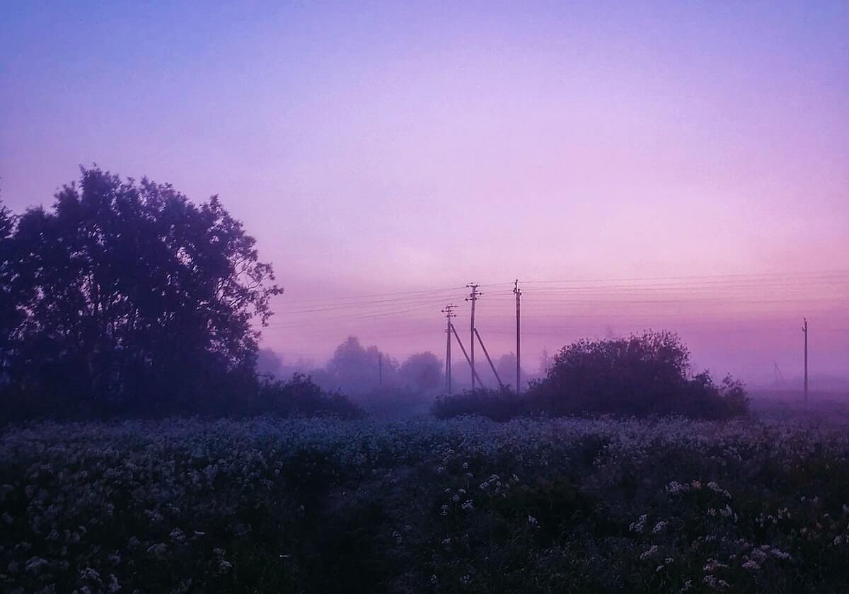 曼联询价泽基·切利克:转会可能性解析及罗马角色演变